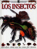 LOS INSECTOS