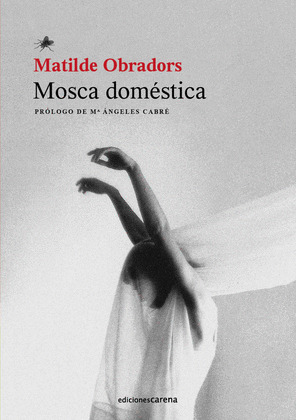 MOSCA DOMÉSTICA