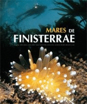 MARES DE FINISTERRAE (CASTELLANO - INGLES)