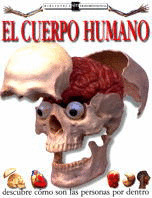 CUERPO HUMANO, EL (BT)