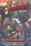 DAREVIL. TIERRA DE SOMBRAS