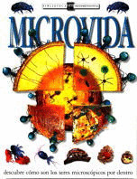 BT. MICROVIDA