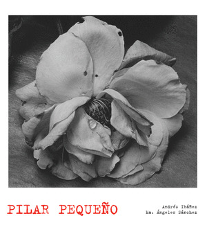 PILAR PEQUEÑO