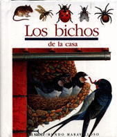 BICHOS EN CASA.MM.