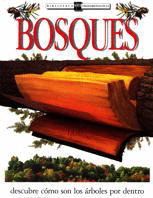 BT. BOSQUES