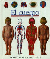 CUERPO- MUNDO MARAVILLOSO
