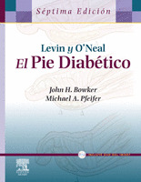 LEVIN/OŽNEAL. EL PIE DIABÉTICO + DVD-ROM