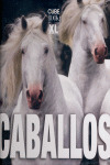 CABALLOS XL - CUBE BOOK