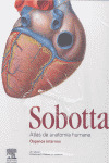 ATLAS DE ANATOMIA HUMANA VOL.2:ORGANOS INTERNOS SOBOTTA