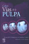 VIAS DE LA PULPA