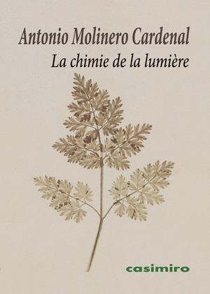 LA CHIMIE DE LA LUMIERE