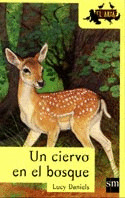 UN CIERVO EN EL BOSQUE