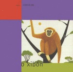 O XIBON