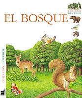EL BOSQUE (DESCUBRIR)