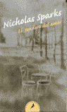 EL SENDERO DEL AMOR