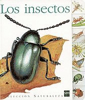 LOS INSECTOS