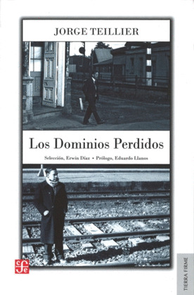 LOS DOMINIOS PERDIDOS