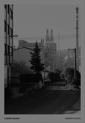 CAMIÑO NEGRO. DAMIAN UCIEDA