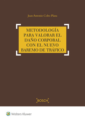METODOLOGIA PARA VALORAR EL DAÑO CORPORAL EN EL NUEVO BAREMO DE TRAFICO