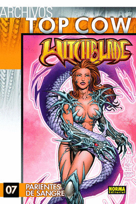 ARCHIVOS TOP COW WITCHBLADE 7