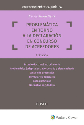 PROBLEMATICA EN TORNO A LA DECLARACION EN CONCURSO DE ACREEDORES (2.ª EDICION)