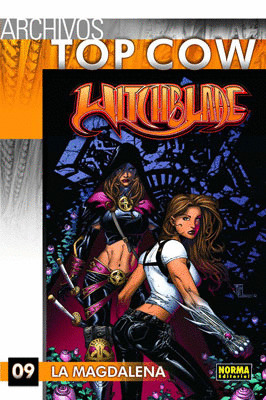 ARCHIVOS TOP COW WITCHBLADE 9