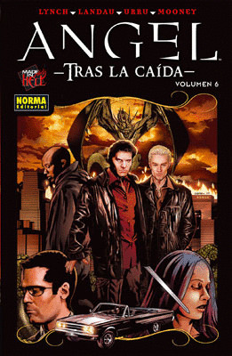 ANGEL TRAS LA CAIDA 06