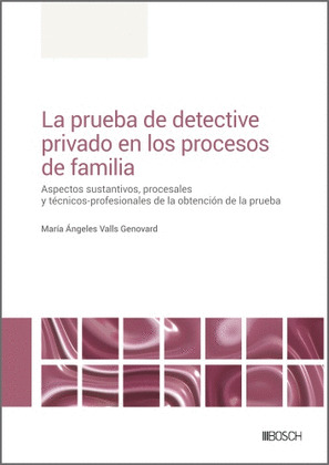 LA PRUEBA DE DETECTIVE PRIVADO EN LOS PROCESOS DE FAMILIA