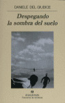 DESPEGANDO LA SOMBRA DEL SUELO