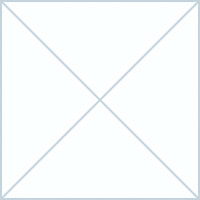 BRHM56. LA LEXICOGRAFIA