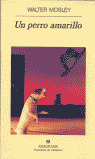 PERRO AMARILLO, UN