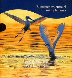 ENCUENTRO ENTRE EL MAR Y LA TIERRA, EL