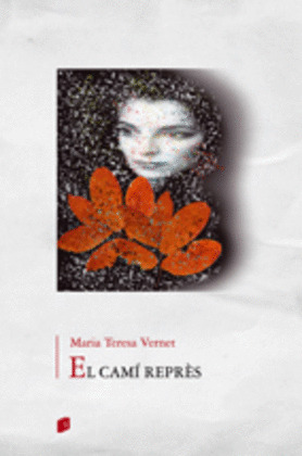 EL CAMI REPRES