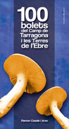 100 BOLETS DEL CAMP DE TARRAGO
