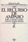 EL RECURSO DE AMPARO