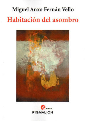HABITACION DEL ASOMBRO (HABITACIÓN DO ASOMBRO)