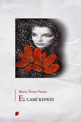 EL CAMÍ REPRÈS