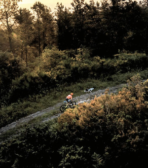RUTAS EN BICI DE MONTAÑA POLOS ARREDORES DE LUGO