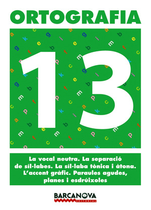 ORTOGRAFIA 13