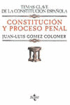 CONSTITUCIÓN Y PROCESO PENAL