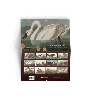 CALENDARIO AVES DE AMERICA