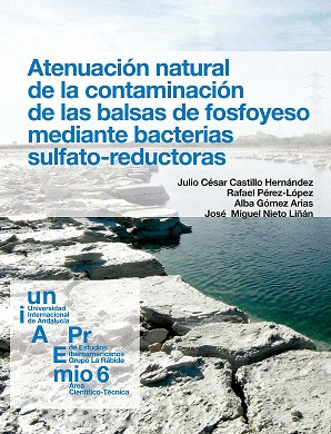 ATENUACIÓN NATURAL DE LA CONTAMINACIÓN DE LAS BALSAS DE FOSFOYESO MEDIANTE BACTE