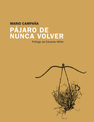 PAJARO DE NUNCA VOLVER