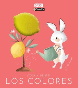 TOCA Y SIENTE: LOS COLORES