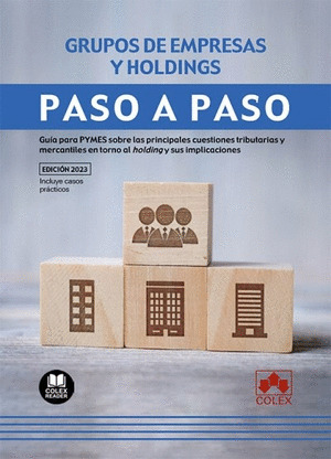 PASO A PASO. GRUPOS DE EMPRESAS Y HOLDINGS