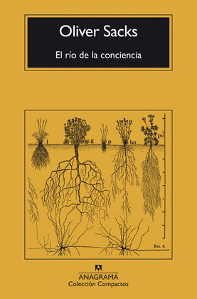 EL RÍO DE LA CONCIENCIA