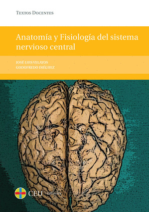 ANATOMIA Y FISIOLOGIA DEL SISTEMA NERVIOSO CENTRAL