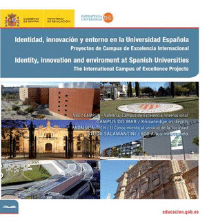 IDENTIDAD, INNOVACIÓN Y ENTORNO DE LA UNIVERSIDAD ESPAÑOLA