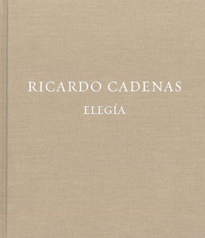 RICARDO CADENAS, ELEGÍA