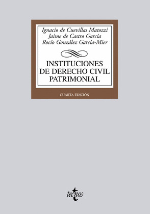 INSTITUCIONES DE DERECHO CIVIL PATRIMONIAL (3ª EDICION, 2011)